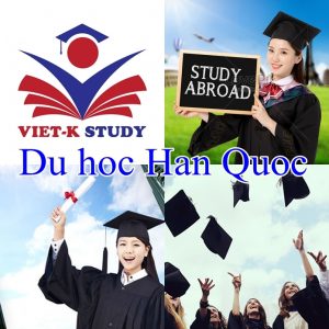 Các trường đại học top 1% tại Hàn Quốc