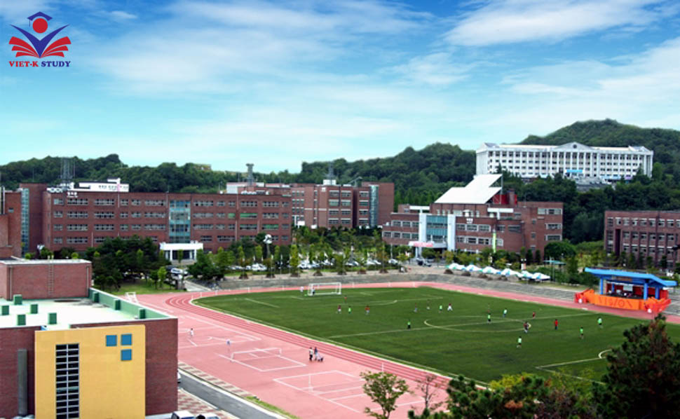 Một góc khuôn viên ký túc xá tại Đại học Jeonju Vision